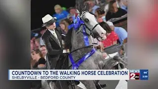 Countdown to Walking Horse Celebration