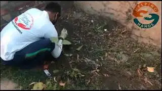 helping hands team Shahabad markanda