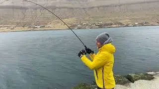 Abu Tormentor 4 delt spinnestang med Shimano hjul nu p&aring; tilbud