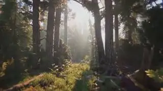 The Elder Scrolls VI Redfall Gameplay Trailer 2021