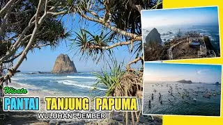 PANTAI TANJUNG PAPUMA I Pantai Pasir Putih Malikan I Wuluhan, Jember I Update Tahun 2024