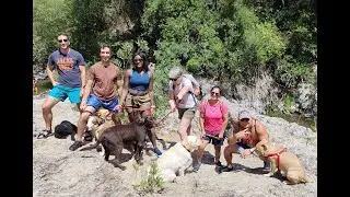 5ª Jornada de senderismo con tu perro. Ruta: Charco del Canalón (Istán)