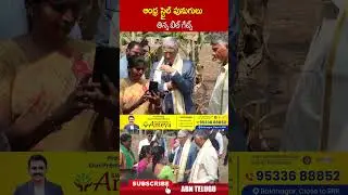 ఆంధ్ర స్టైల్ పునుగులు తిన్న బిల్ గేట్స్&lrm; #billgates #cmchandrababu #shorts #abn #billgatesaptour