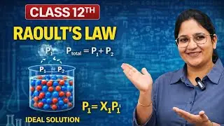 Roult's Law Explained | Solutions - Class 12 Chemistry | Richa Ma'am