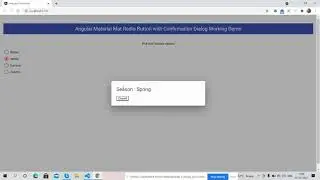 Angular Material Mat Radio Button with Confirmation Dialog Working Demo