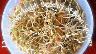 12 Amazing Health Benefits of Bean Sprouts