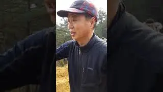안동상여소리