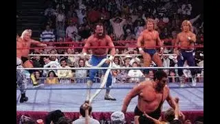 1989 Royal Rumble review