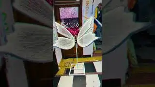 How to make led light Butterfly| diy butterfly 🦋 decor for wedding #shorts#diy #craft#ideas#viral