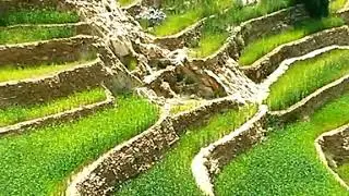 معشوقتي أرضي بلادي ...قرية الحيرة جبل النبي شعيب