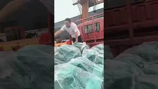 Electric motors ready for shipment