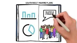 South West Marine Plan - MMO/Severn Estuary Partnership