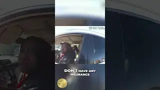 Pulled Over! Expired Plates & No Insurance!
