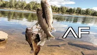 ARIZONA FISHING FOR TROUT AT WOODS CANYON LAKE!!! EASY LIMIT!!!