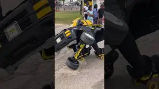 humen transformer bumble bee 🐝 😇