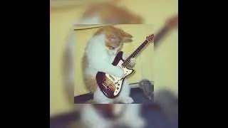 In the air tonight - sped up