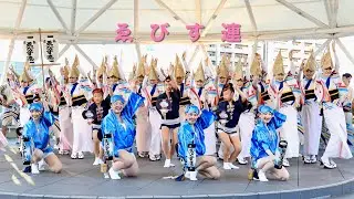 ゑびす連 理沙子 降臨！汗だくになって踊る姿 感動しました 阿波おどり 阿波踊り アミコドーム #Awaodori