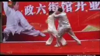 Chen Bin Chen Taichi fighting applications Tuishou, Push Hands 2 - Chen Zhenglei Taiji System