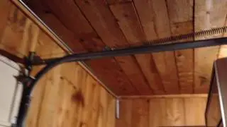 Barn Swallows in the garage