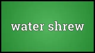 Water shrew Meaning