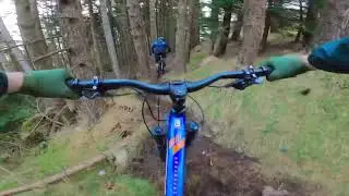 GNARLY MTB- Co. Down’s finest