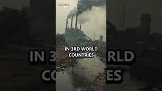 The Business of &lsquo;Saving&rsquo; the World #Hypocrisy #Greenwashing #VirtueSignal