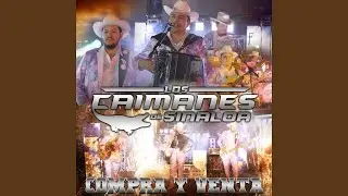 Ojos Negros Nunca Enga&ntilde;an (Live)