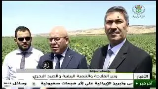 #ولاية_الشلف الانطلاق الرسمي لحملة #الحصاد و الدرس لموسم 2024_2025 على مستوى ولايات شمال البلاد.