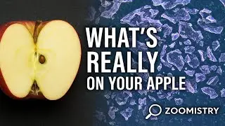 What&rsquo;s on your Apple 🍎 microscopic video🔬 