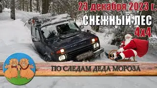 ПРЕДНОВОГОДНИЙ ПАРОВОЗ ТРОФИ. СНЕЖНЫЙ ЛЕС 4х4. По следам Деда Мороза. 23 декабря 2023 г.