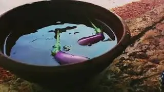 [watch how village people cook] cooking in nature delicious brinjal curry