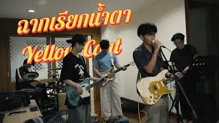 ฉากเรียกนํ้าตา (SWEE:D) LIVE | Yellow Coat