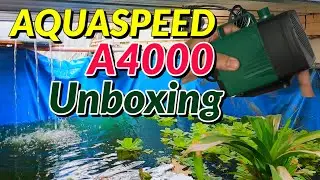 UNBOXING Aquaspeed A4000 Submersible Pump | Cheap but Powerful Pump 4000L/H