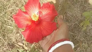 12/1/26কি?কি? করলাম 