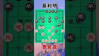 曹岩磊vs苗利明，大打出手发神威，无车斗有车
