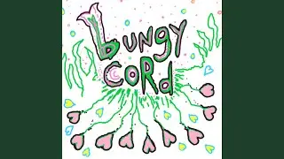 bungy cord