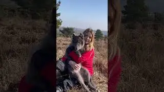 BLUE WOLF