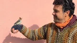 Ma&ntilde;anita fr&iacute;a | Mart&iacute;n Tejera