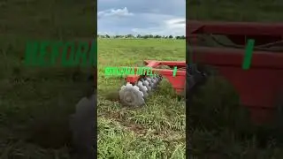 Reforma Inteligente: a forma  correta de manusear o solo da sua Pastagem 🌱🌍