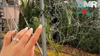 Relaxing Nature ASMR in my Garden (Lofi ASMR for Charity)🌿❄️
