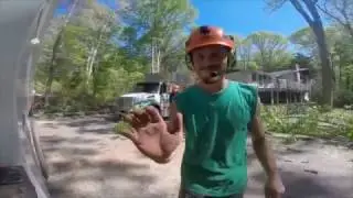 Forest Keepers Tree Care