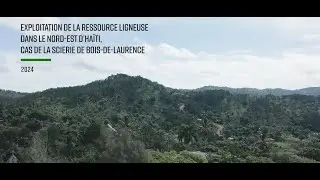 Exploitation de la ressource ligneuse en Haïti. Cas de la scierie de Bois-de-Laurence, Nord-Est.