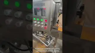 Video of Meat Patty Production Line