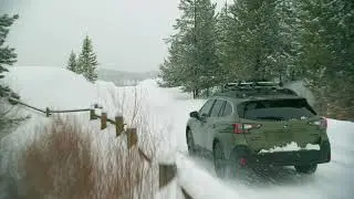 2020 Cook Subaru Commercial