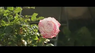 4k dual iso canon eos m (magic lantern) test