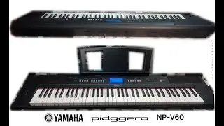 YAMAHA piaggero NP-V60 (DEMO songs)