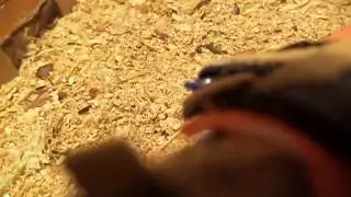 MOV00878