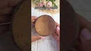 Crazy Idea 😉 Painting coconut shell 🥥🌴 #shorts #shortvideo #painting #diy