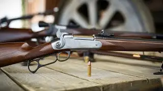 Top 5 Best Scout Rifles To Buy in 2025