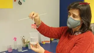 Exploratório de Coimbra há 25 anos a explicar a ciência a miúdos e graúdos